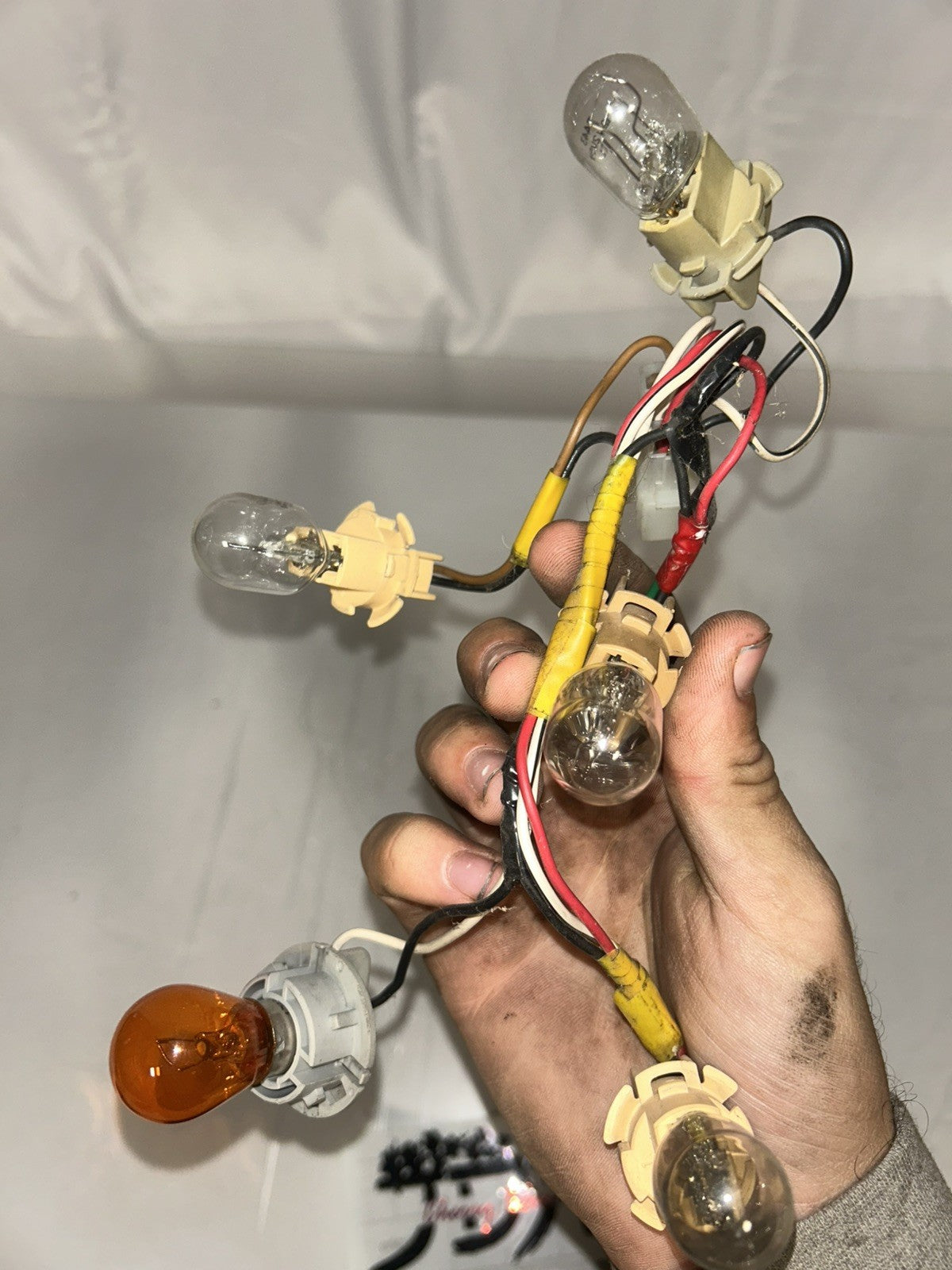 2cb10154-f673-4e4a-82a5-75377d8ff1d6