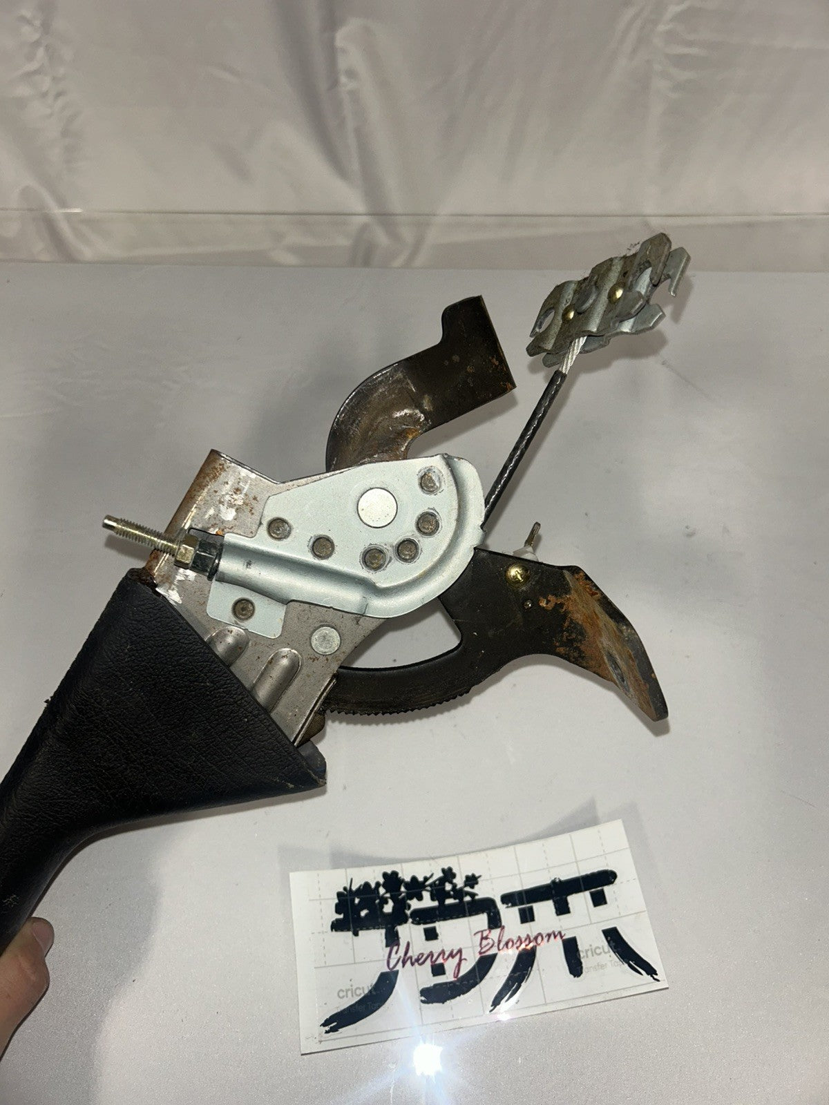 37aed5d9-f8c0-42cc-a3f2-e226ef5da629