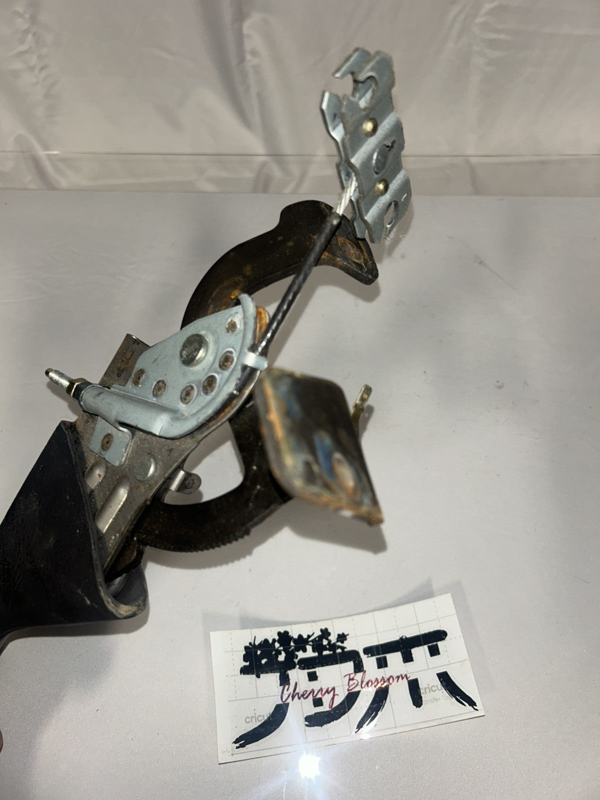 5c64135b-94e9-4827-8cc1-fec7098375a8