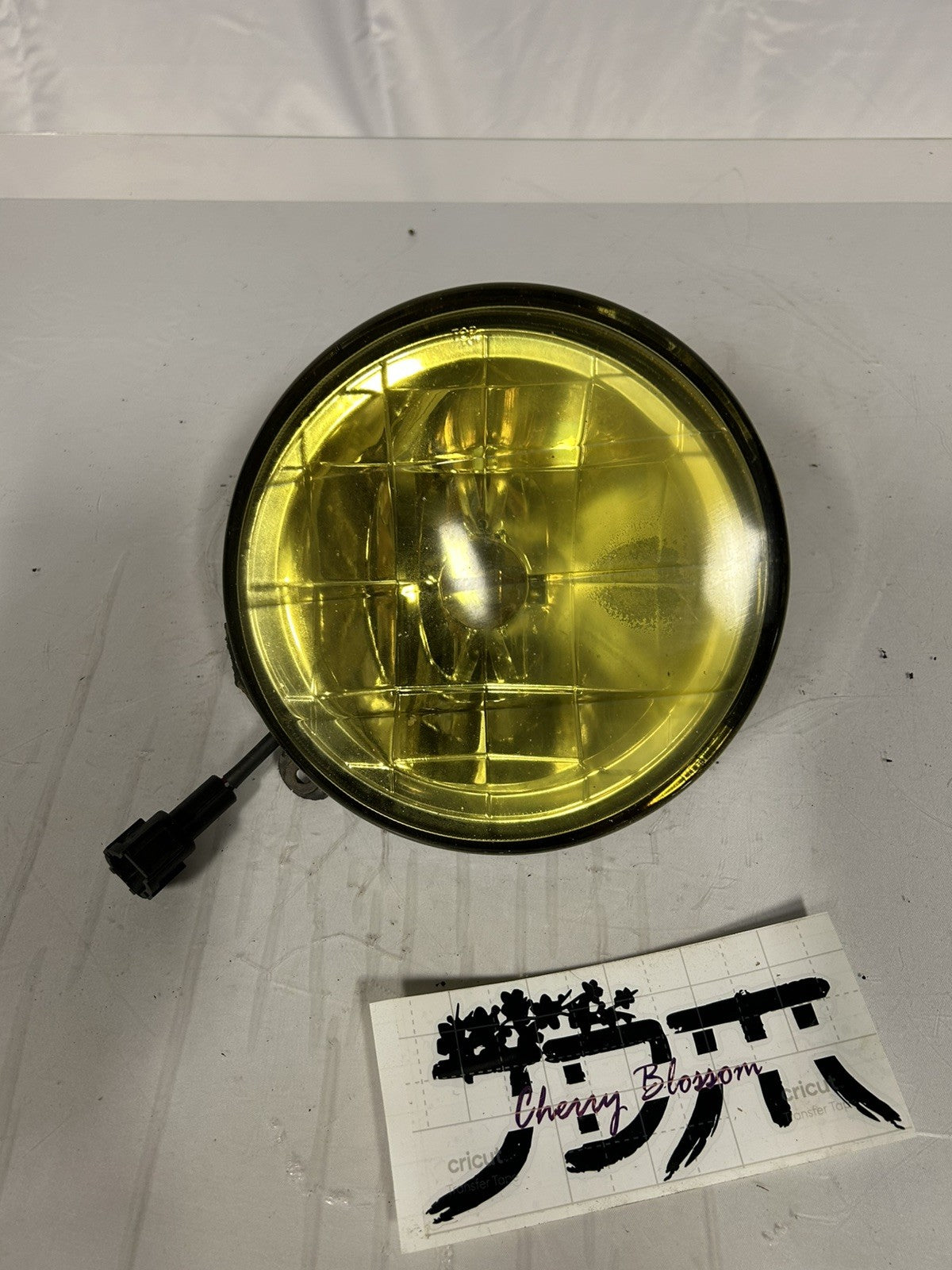 0f29b01d-9ed2-4e05-8c99-ffb673d23b0e