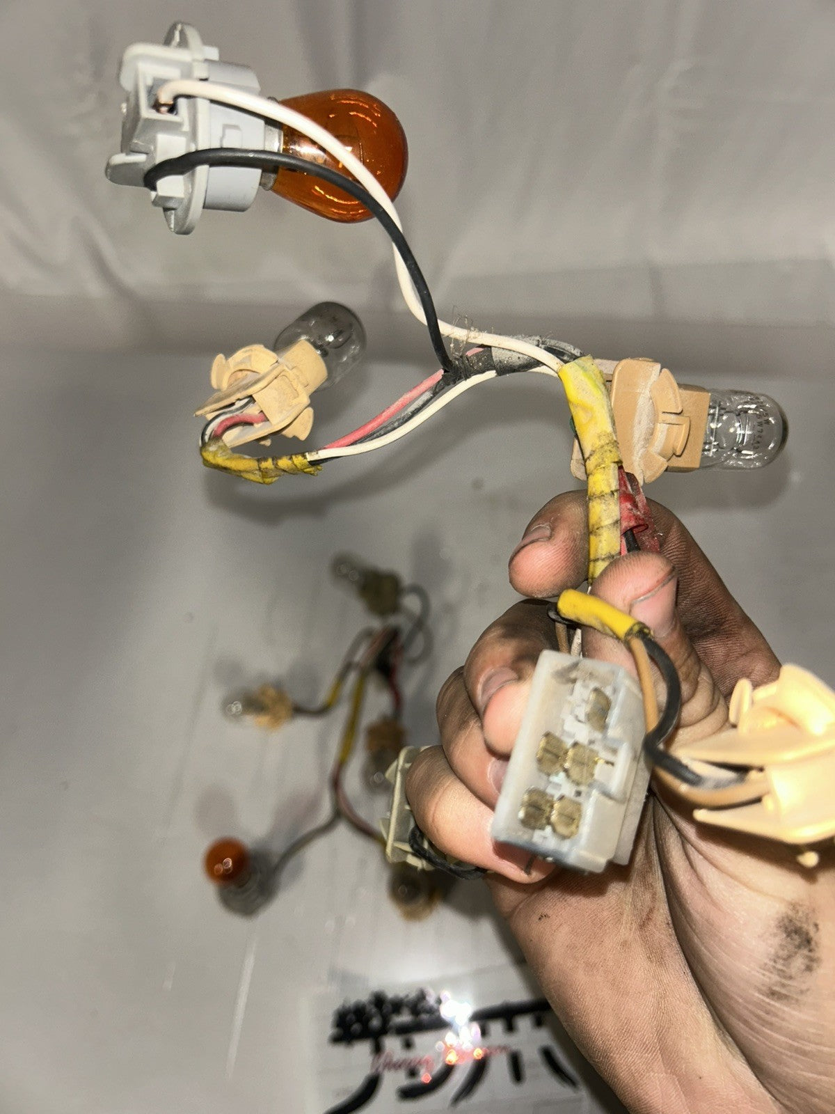 f1ea9f01-ba05-42b6-8c2f-99c08a15443a