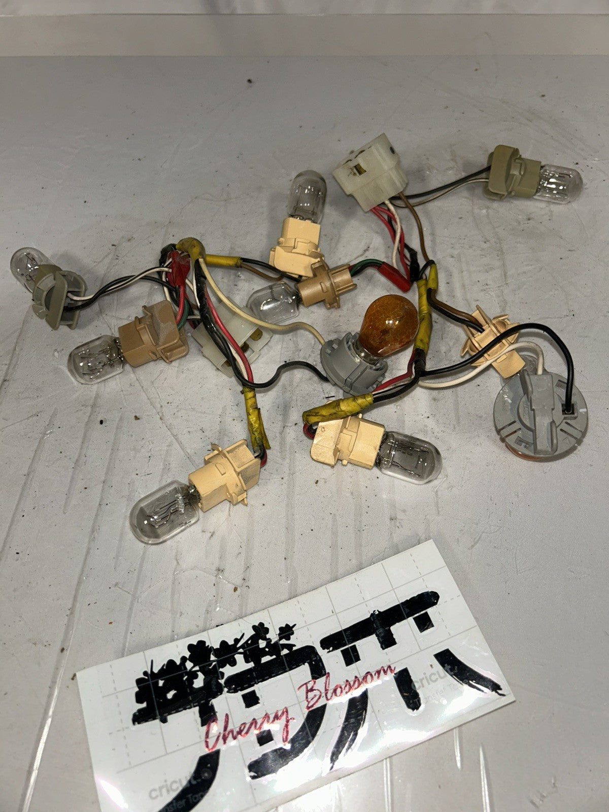 72465430-daa9-4aed-a377-02f32855a137